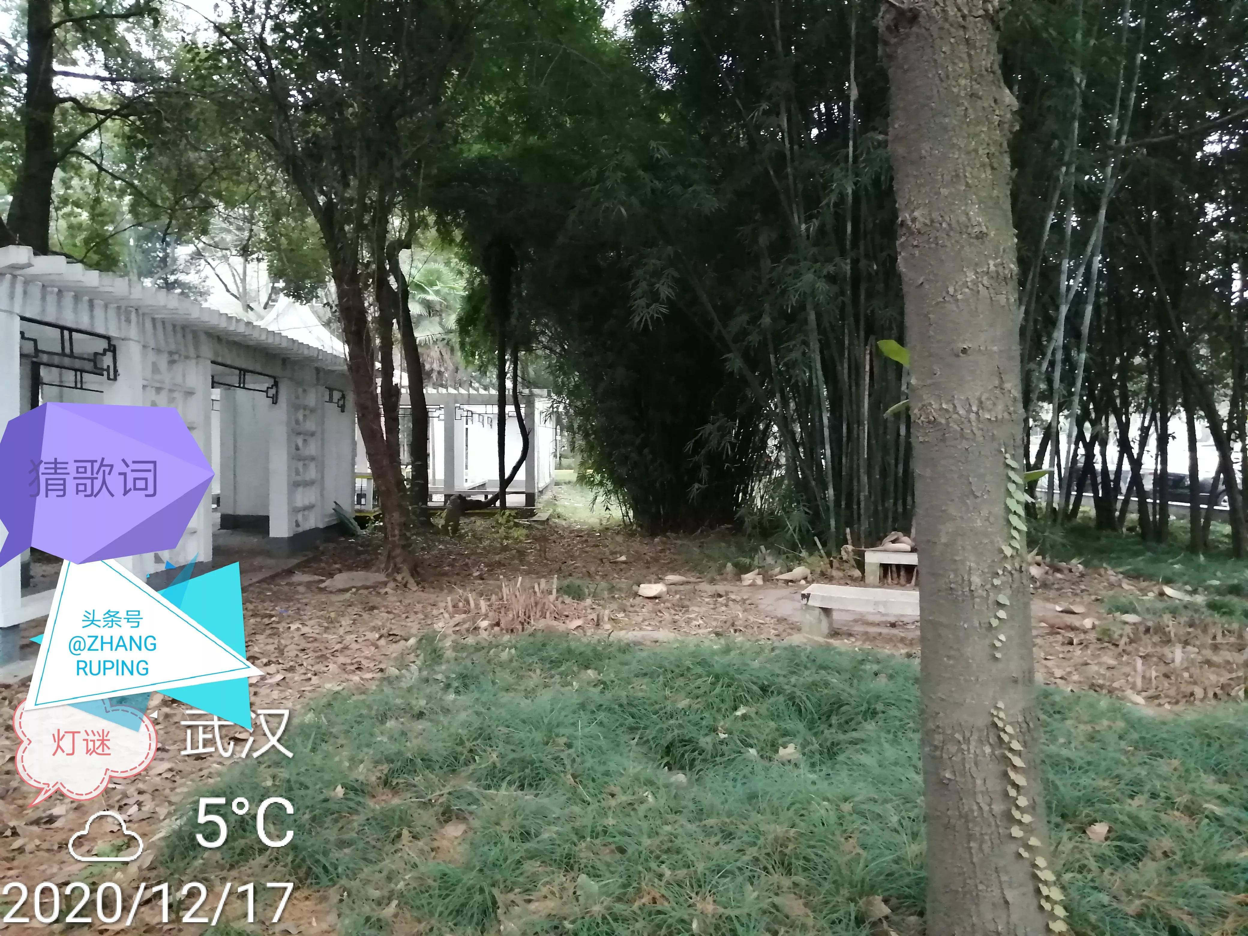 两句歌词接龙，您能猜出来吗？蛇出现两边指引，多找一撇自己寻…