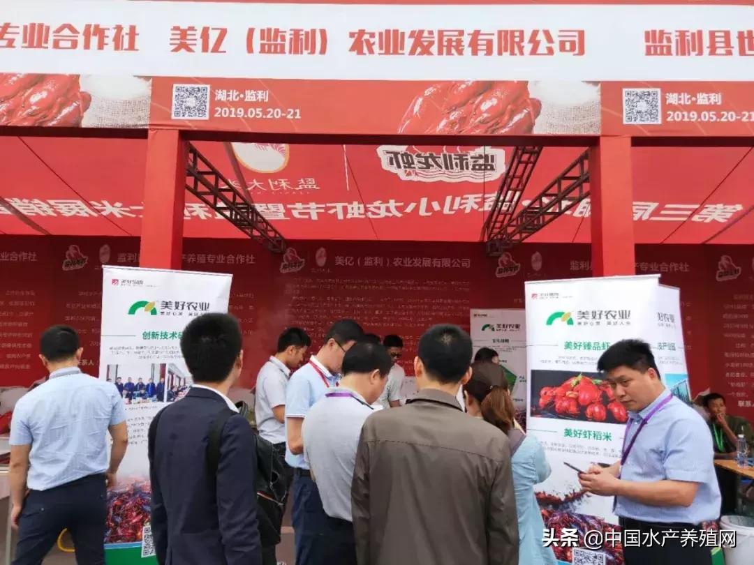 潜江稻田小龙虾产量,虾稻米产量