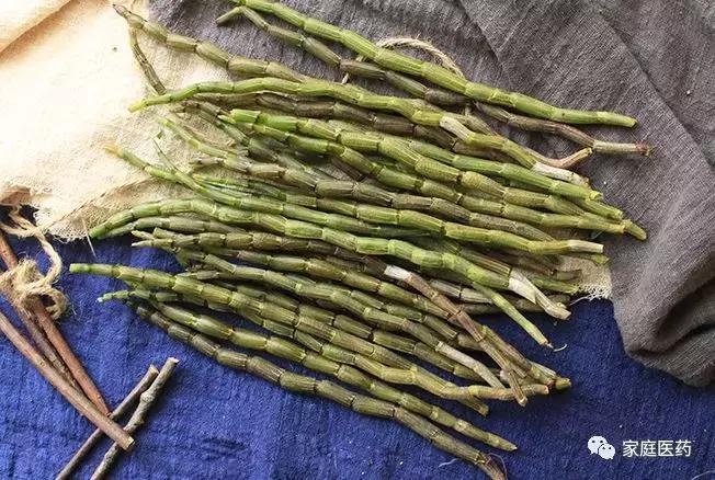 适合夏天全家老小上火喝的茶,炎炎夏日喝这几款茶消暑