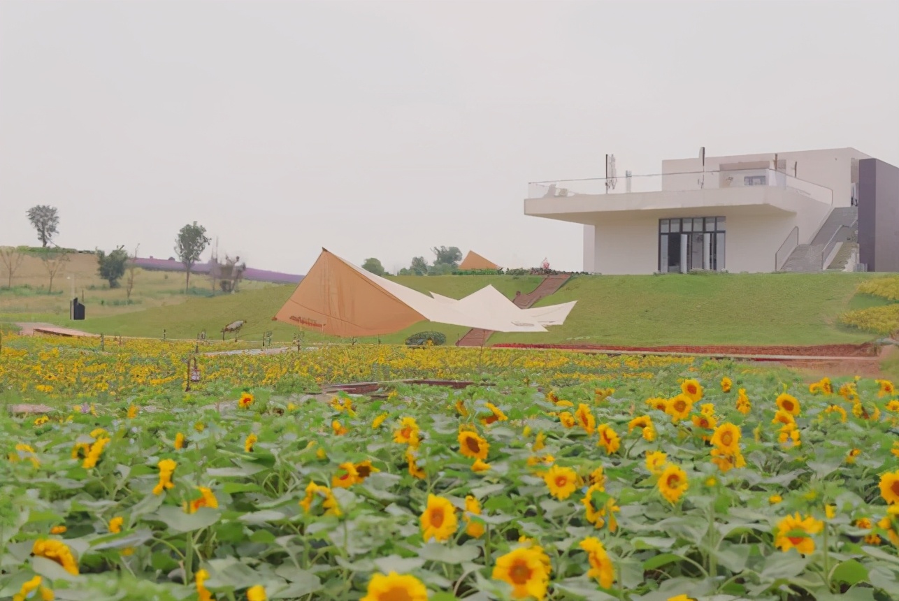 成都周边免费森林公园,成都十五个免费公园