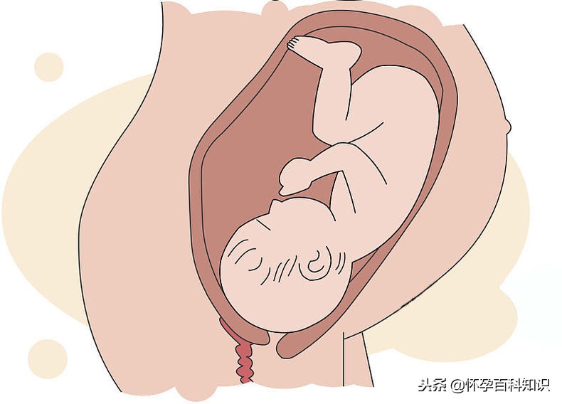 胎儿的第一次胎动原来是这种感觉,准爸爸感受到胎动的表现