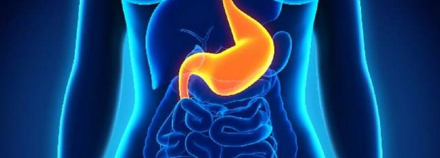 胃溃疡病人看病全过程,胃溃疡的药可以治疗细小吗