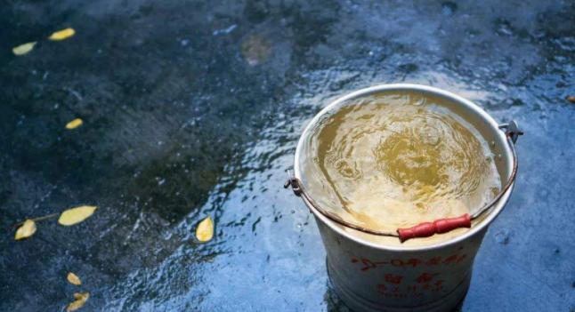 淘米水浇花招虫子吗,淘米水浇花会臭吗