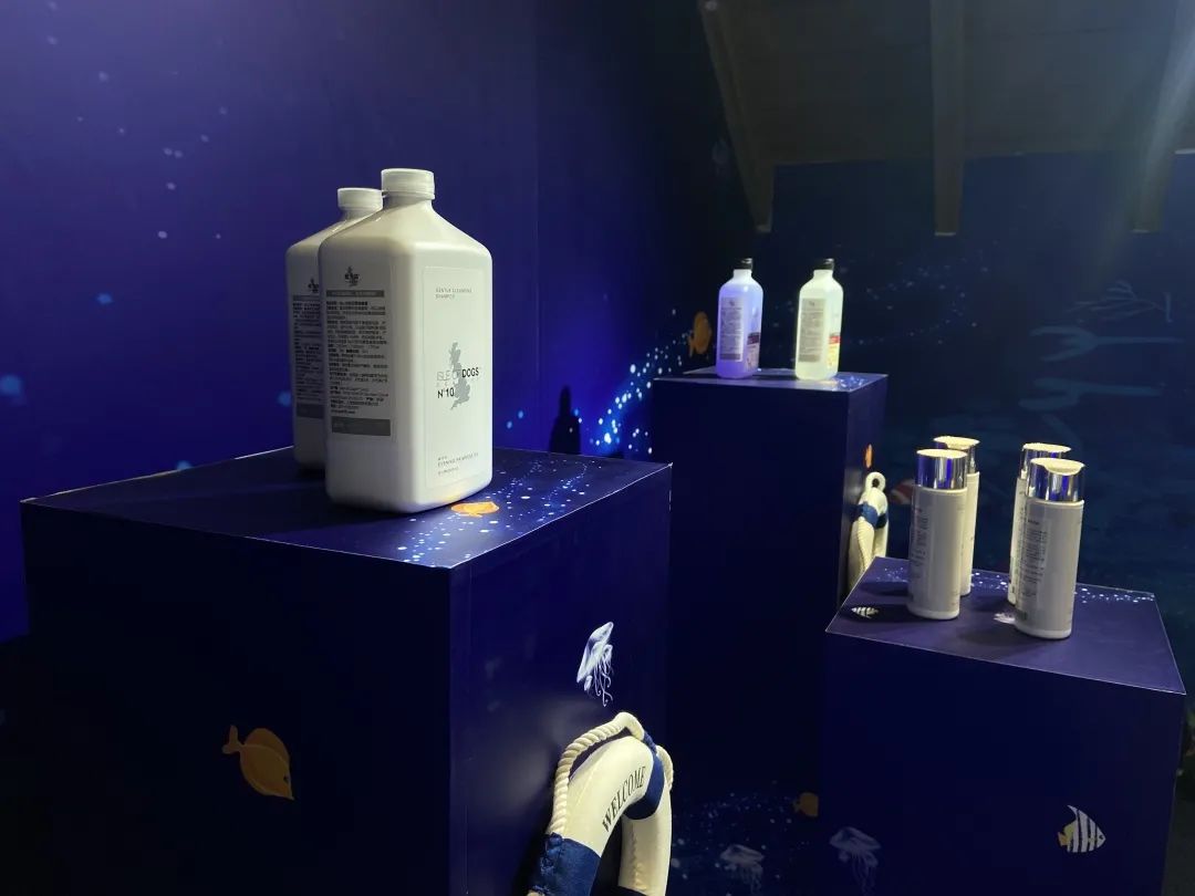 宠爱新开业,丁丁快闪店最新消息