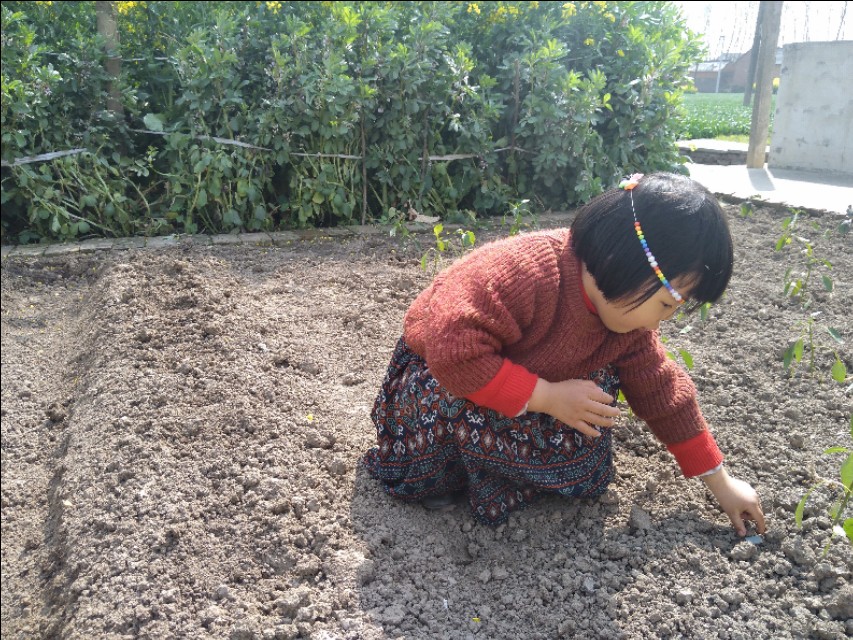 智慧父母给孩子的忠告,智慧父母一定会问孩子的七个问题