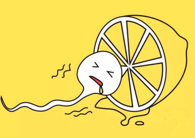 精子的死亡周期,精子死精怎么治疗好