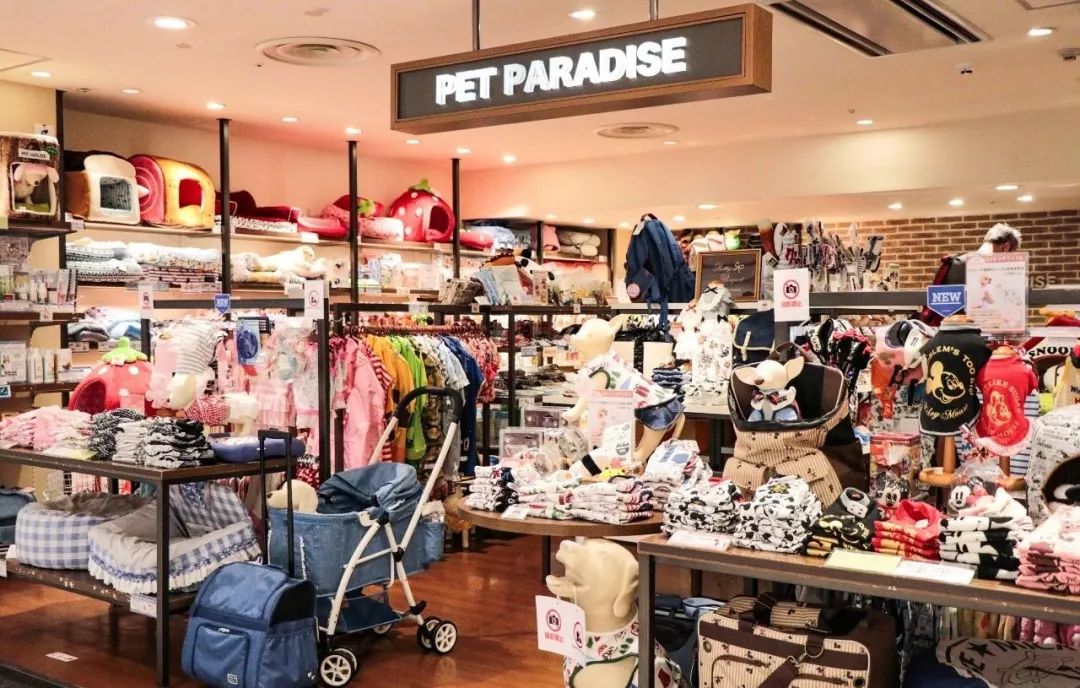 游客都去逛百货商店了，日本人自己去了这里