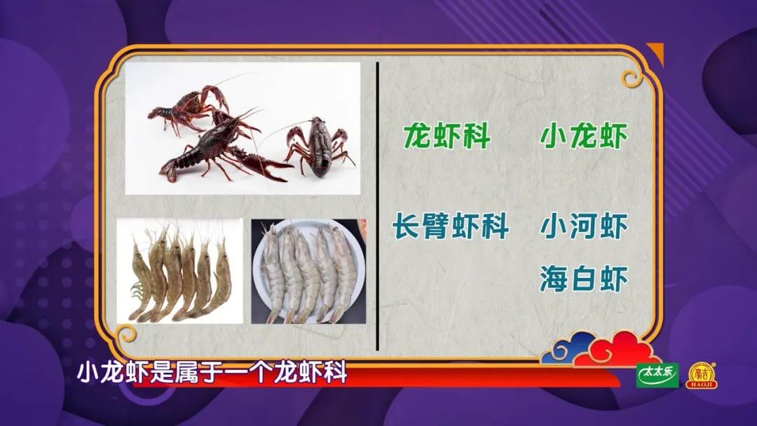 常见虾类口感特点附烹饪做法,虾怎么挑选有营养