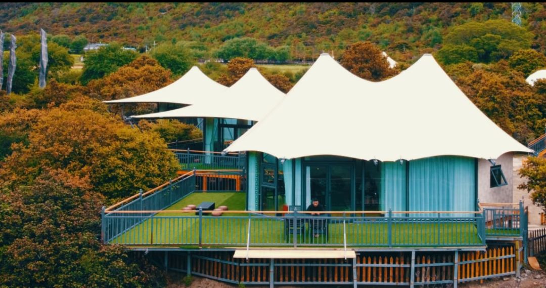 都说西藏是向往的地方,都说林芝桃花美