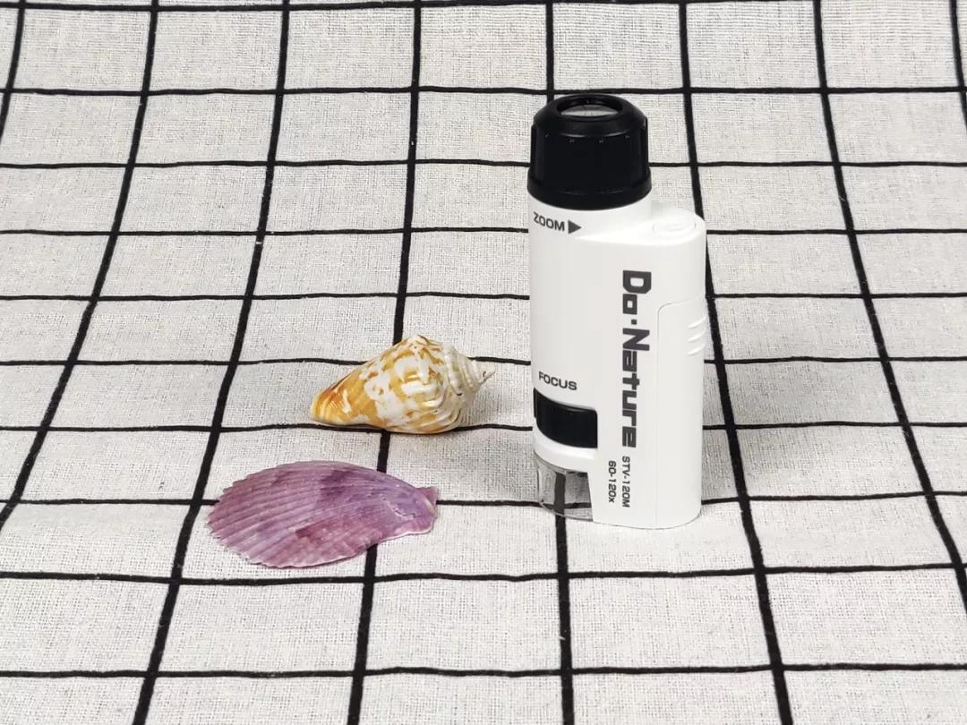 显微镜最大可以放大5000倍,只能放大1200倍的显微镜