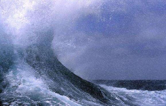 海洋中可怕的杀手,海洋隐藏的杀手