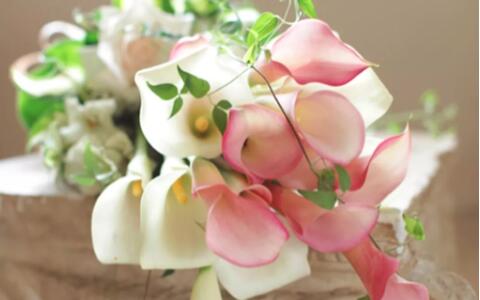 十二星座该送什么花,给十二星座送什么花最适合