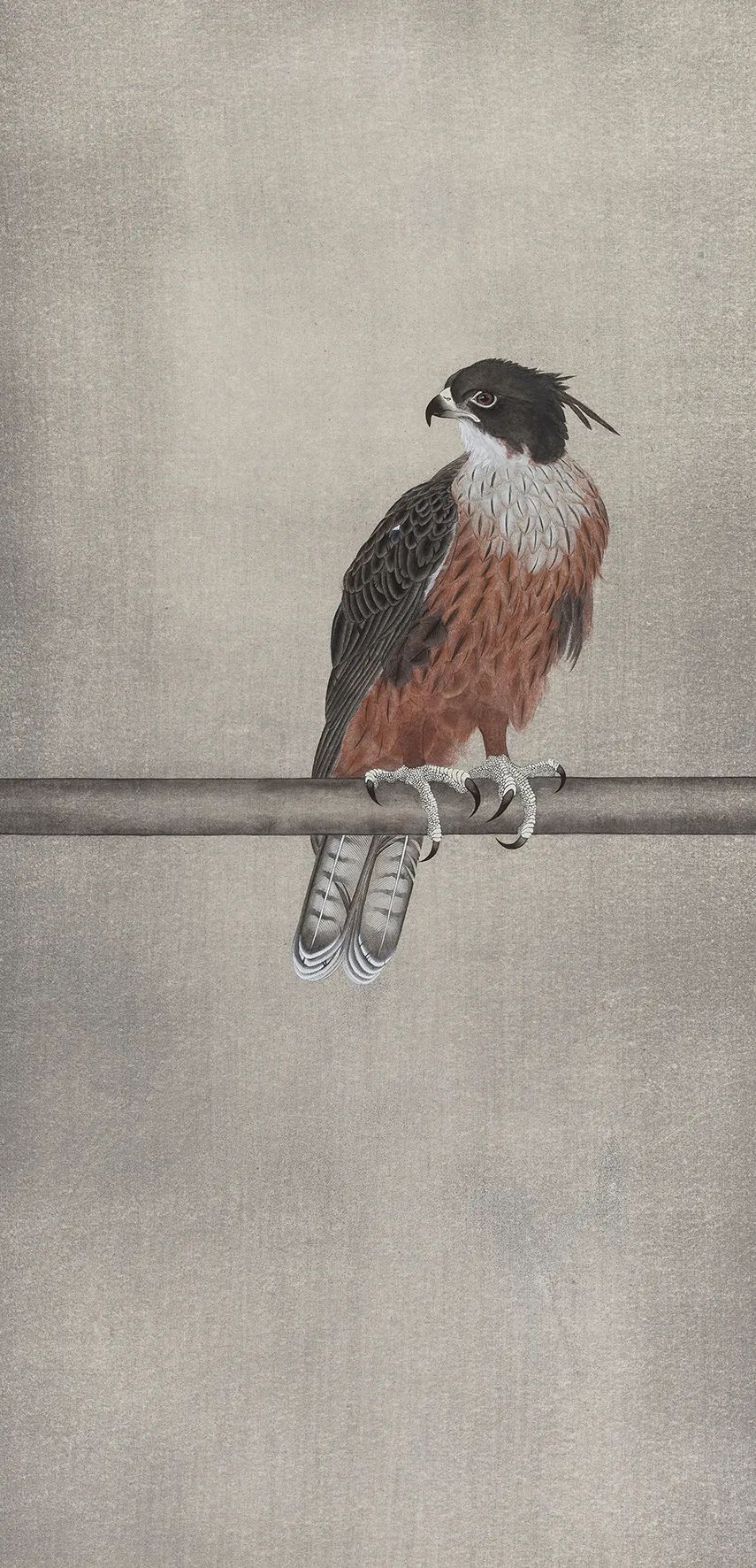 他画的鹰，严谨工致，萧疏威严