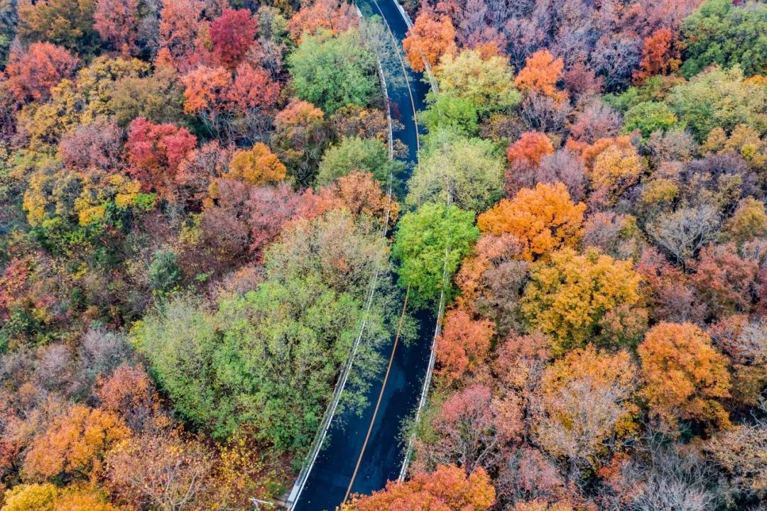 南京是属于哪个省的,南京是现在的哪个城市