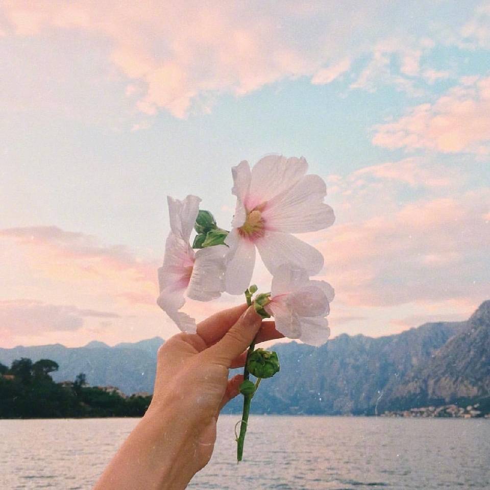 抖音开网店需要多少钱,开电商网店需要多少钱