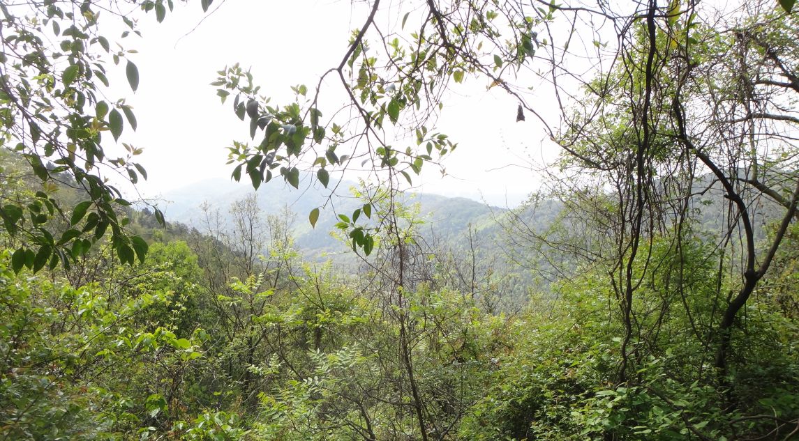 苏州第一高峰穹窿山,苏州最高的山穹窿在哪里