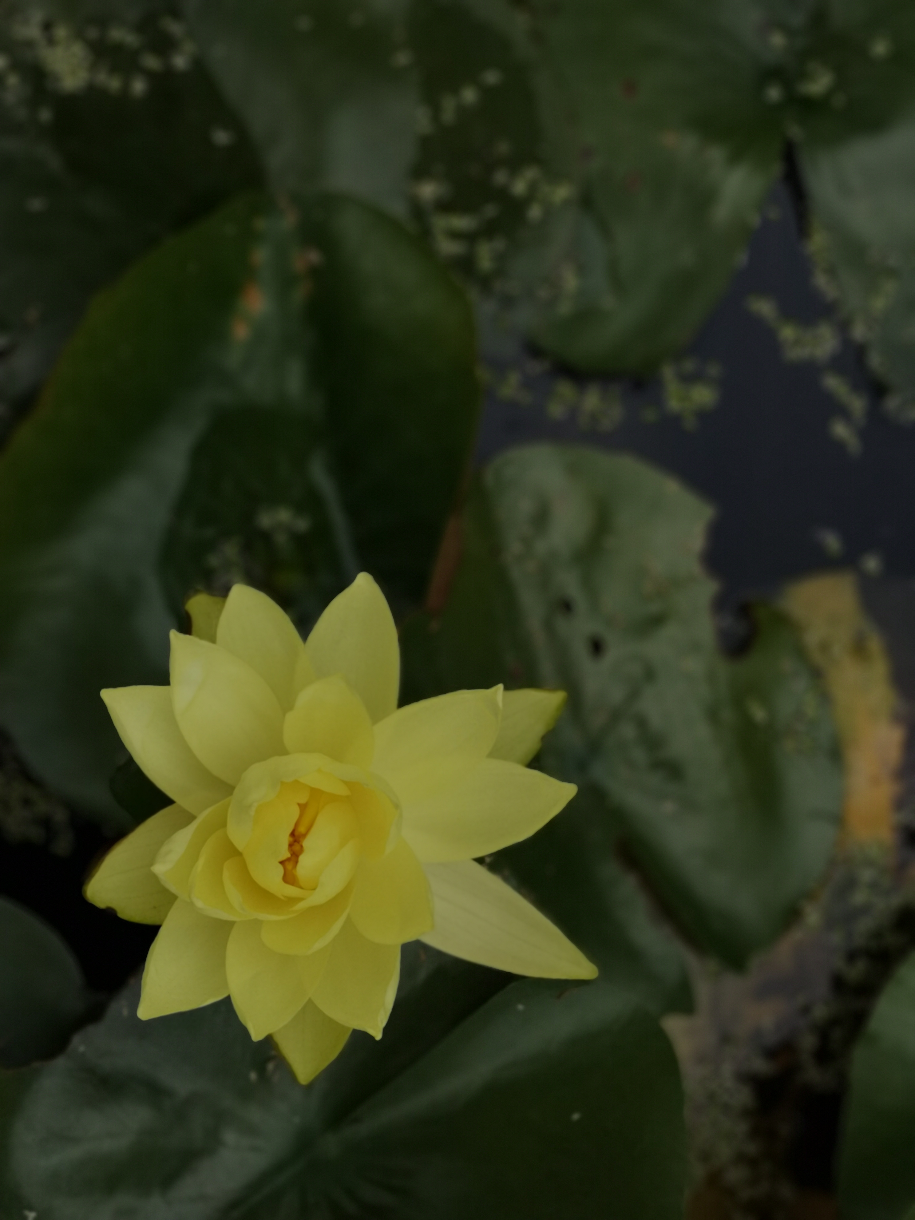 俗离山和法住寺——走进没有代购的别样韩国