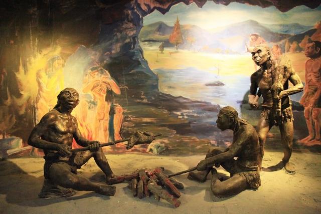 人类全身褪去毛发后，为什么只留下头发、阴毛和腋毛？