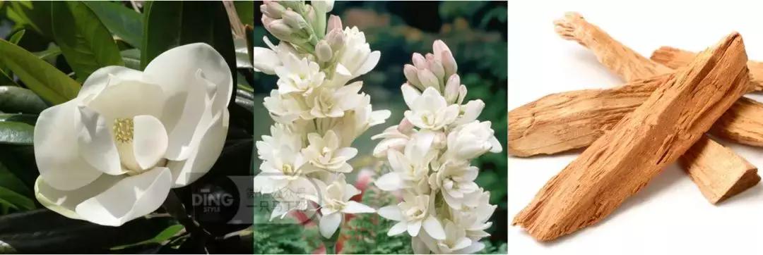 香水搭配的基本知识,香水潮流搭配