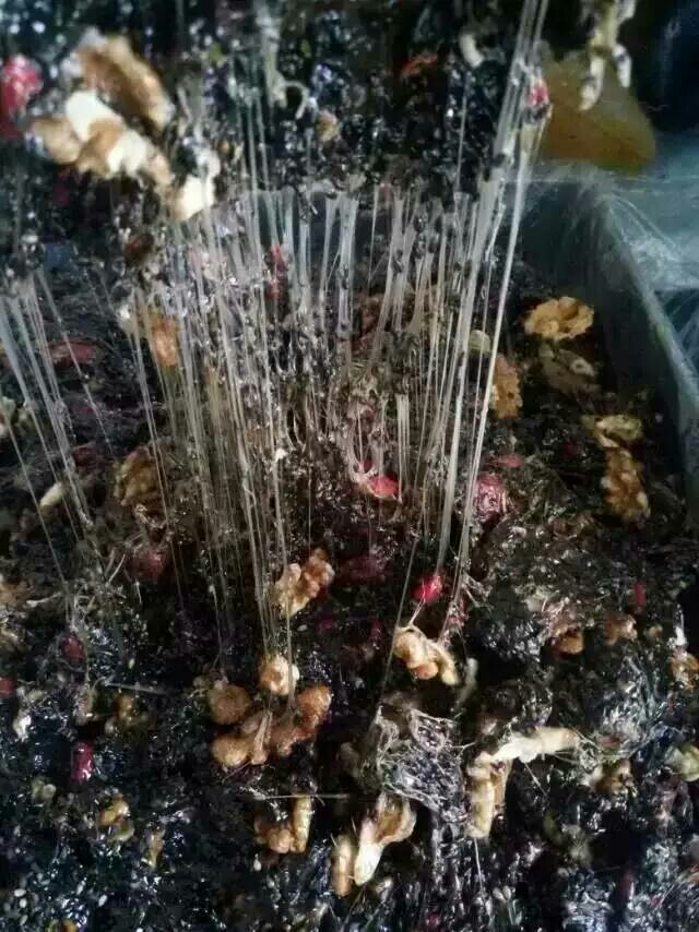 花800买了半斤阿胶膏,花了700元买了阿胶