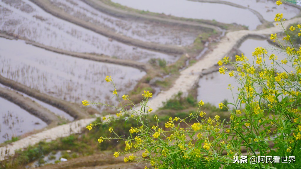 云南普者黑元阳坝美6天旅游攻略,云南建水普者黑旅游路线