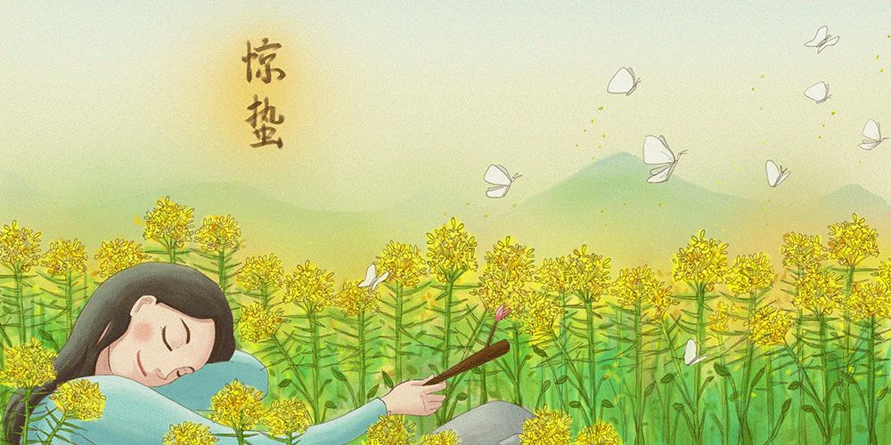 宣传册排版设计欣赏,清洁公司宣传册设计