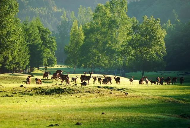 戴口罩的春节,戴口罩的冬天过去了
