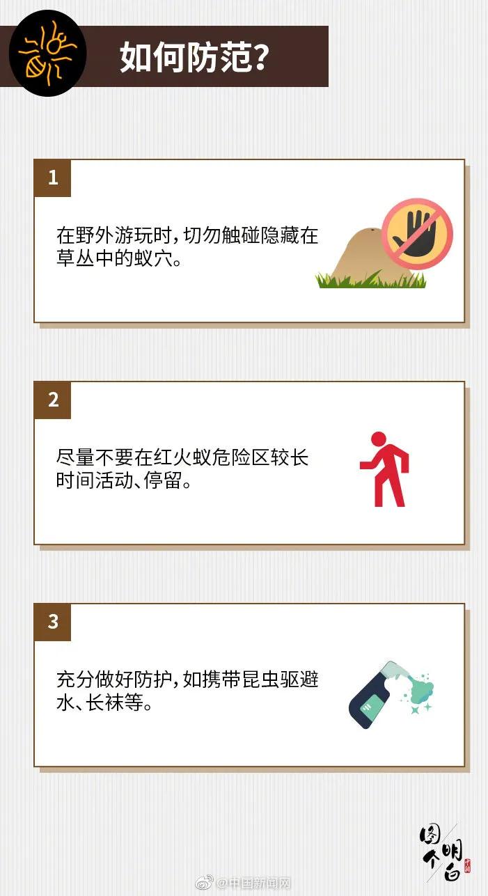 小心蚂蚁,小心红火蚁