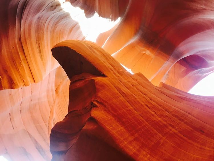 早晨和黄昏时段，手机摄影佳作赏析