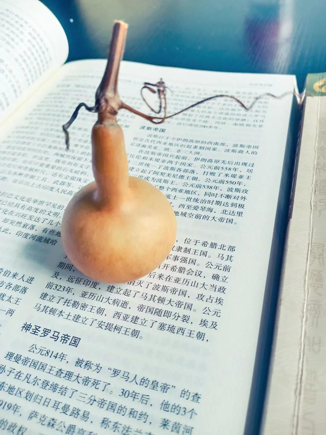 葫芦虽小藏天地,伴我云云万里身