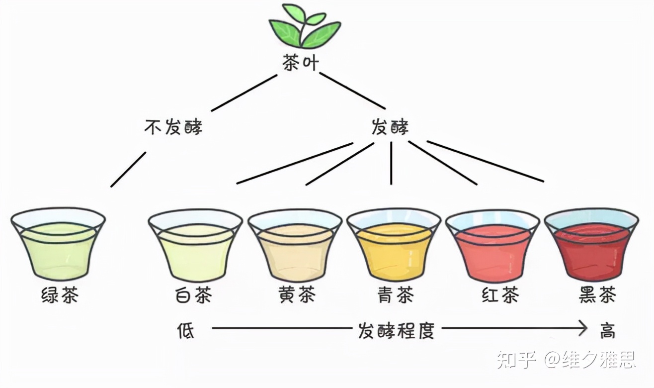 绿茶是绿色的茶吗为什么,绿茶中的红茶