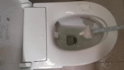 舒服如厕的正确打开方式,如厕通畅小妙招