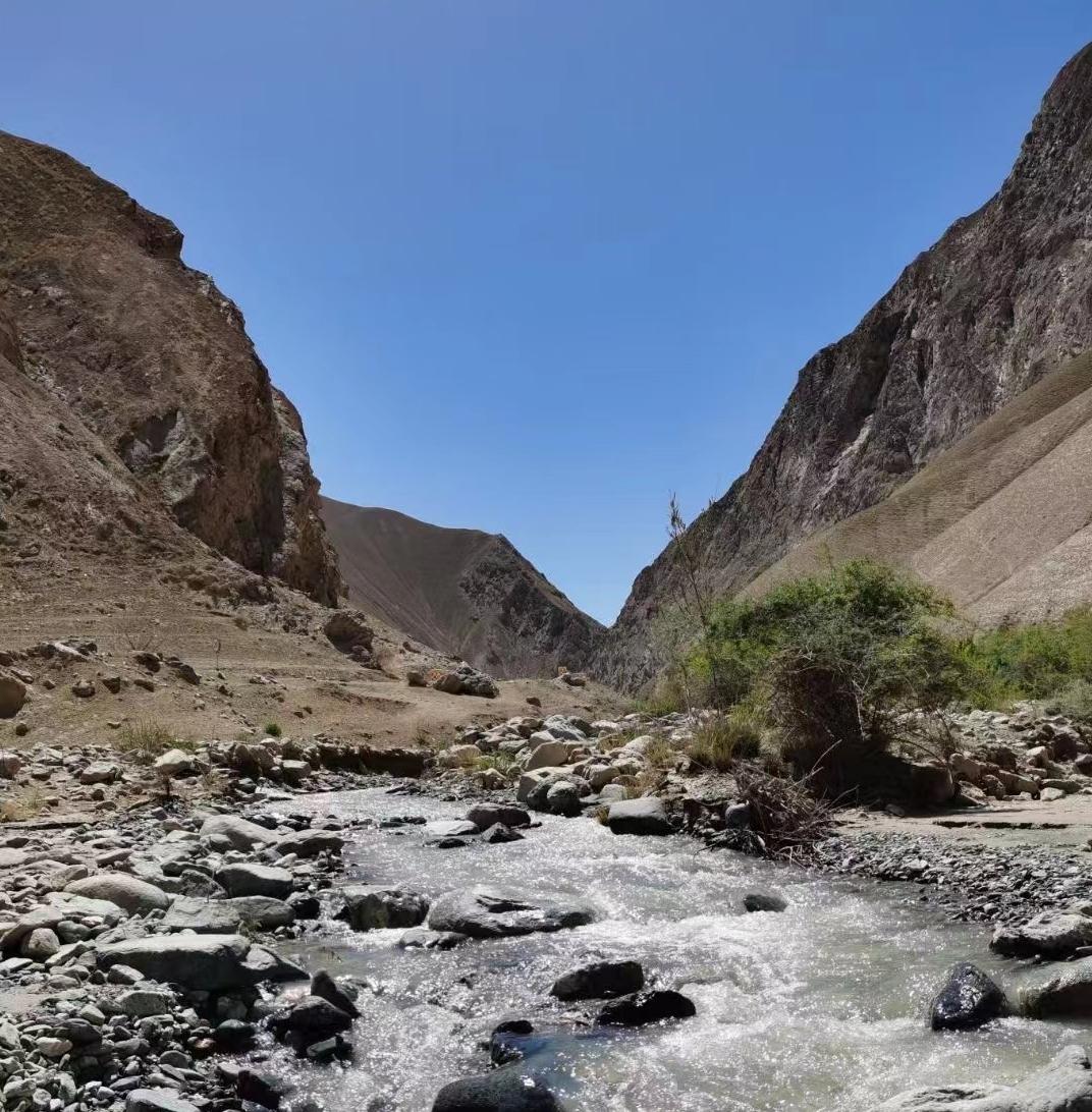 tt语音哪一个人可以迅速带我上分,tt语音上面的单挑全靠不靠谱