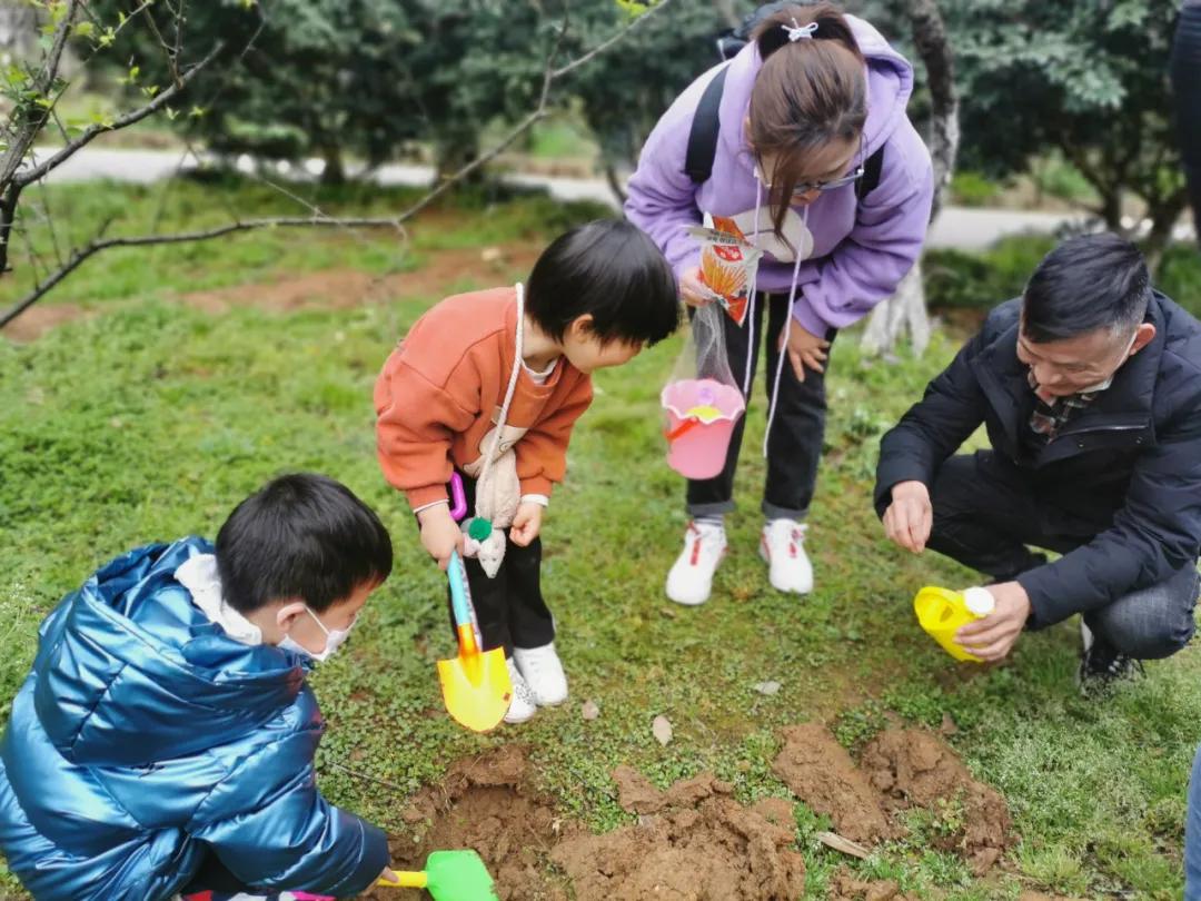 武汉植树高峰期,植树浪潮