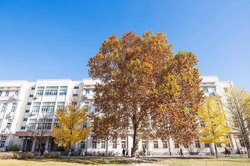 北京科技大学2024高水平招生简章,北京科技大学2021高水平录取名单