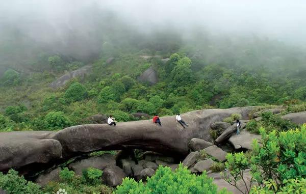 广东省最美自驾游244省道,中国最受欢迎的十大自驾路线top1
