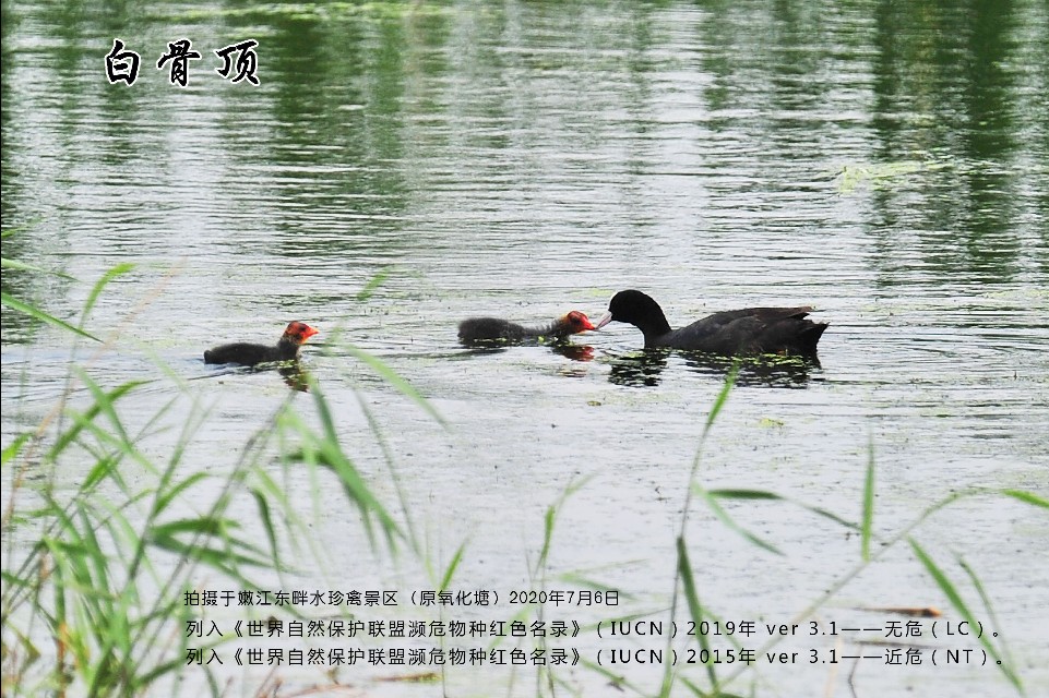 榻愰綈鍝堝皵瀚╂睙涓滄按鐝嶇鍏洯,榻愰綈鍝堝皵瀚╂睙涓滄按鐝嶇婀垮湴鍏洯