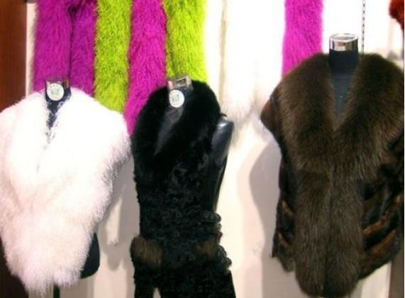 宁夏特产枸杞,宁夏为什么特产枸杞