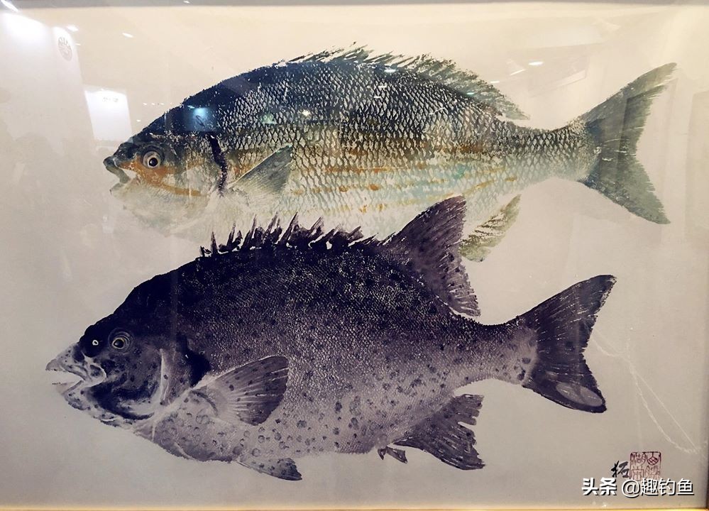 日本钓鱼具品牌排行榜,日本渔具钓具品牌大全图