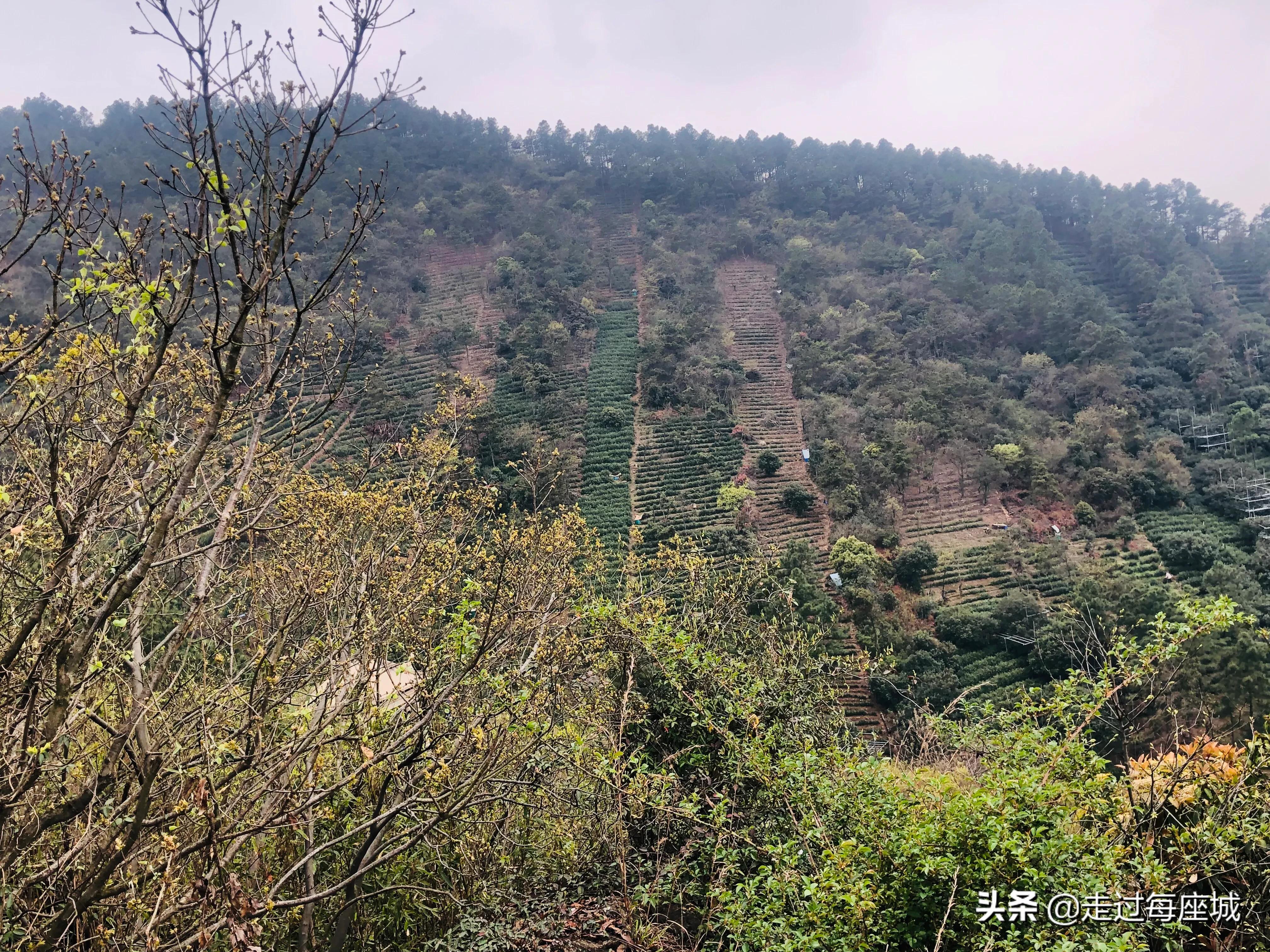 苏州小众却很棒的原生态的古镇,苏州必去的古村