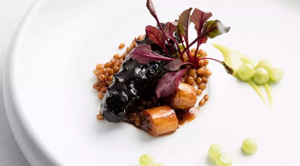 春节海参的简单最佳吃法,冬季吃海参听听专家怎么说