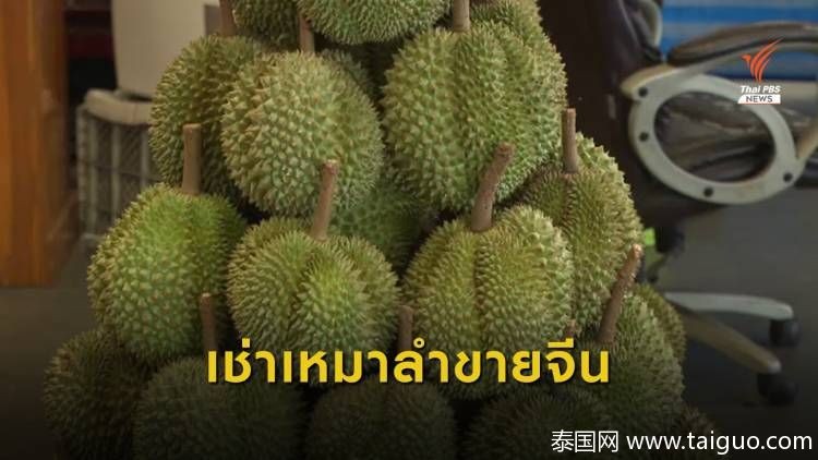 泰国空运高品质榴莲团购,泰国空运榴莲到中国价格表