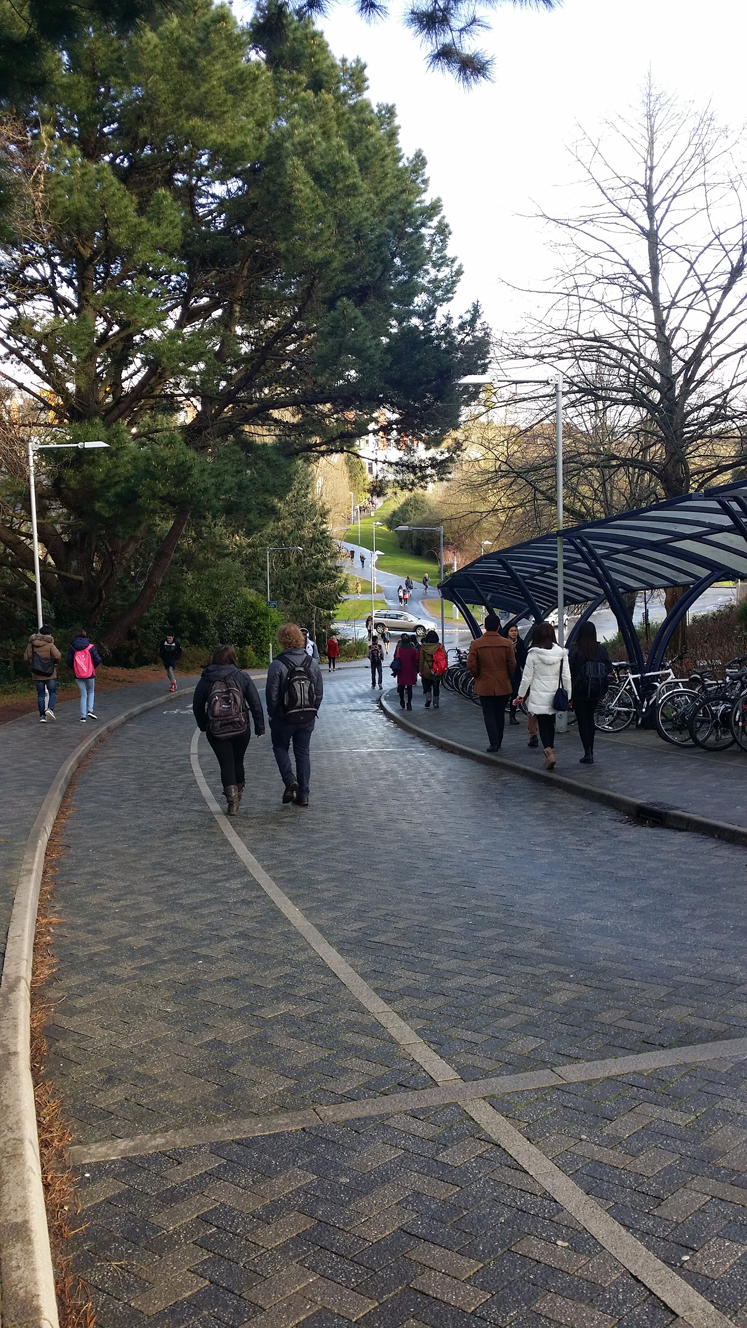 高考生怎么申请雷丁大学,考上剑桥有多难