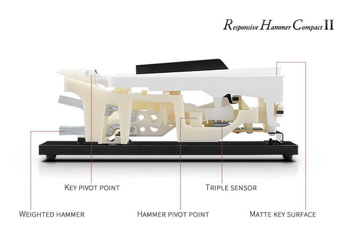 电子琴和电钢琴怎么选择,电子琴和电钢琴哪个更适合初学者