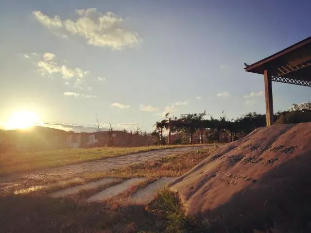 辽宁师范大学辽宁省一流课程,辽宁省普通高等院校