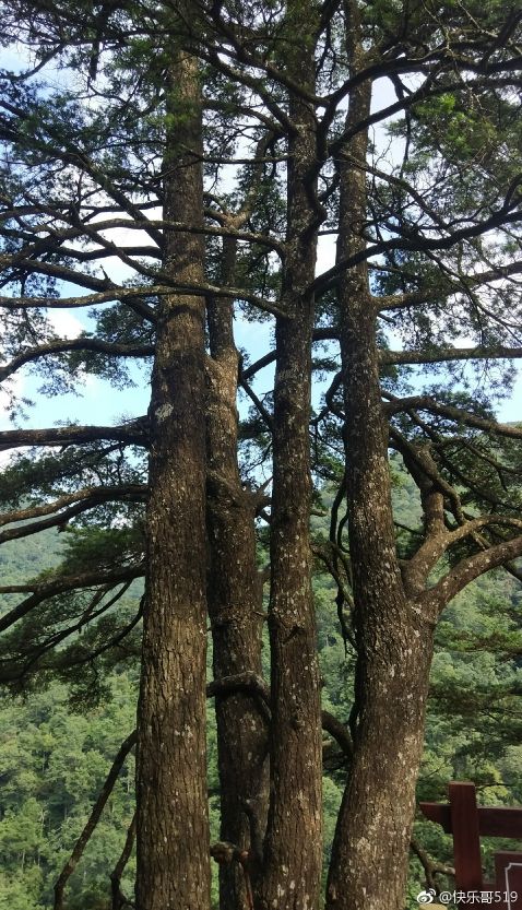 成都坐动车直达这片原始秘境!深幽峡谷、云海奇观、罕见古村…带你逃离夏天!