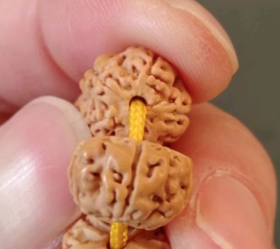 小金刚价格为什么差这么多,小金刚被骗200万