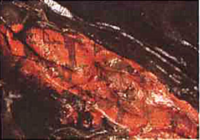 锦绣河山读音,锦绣河山好词好句