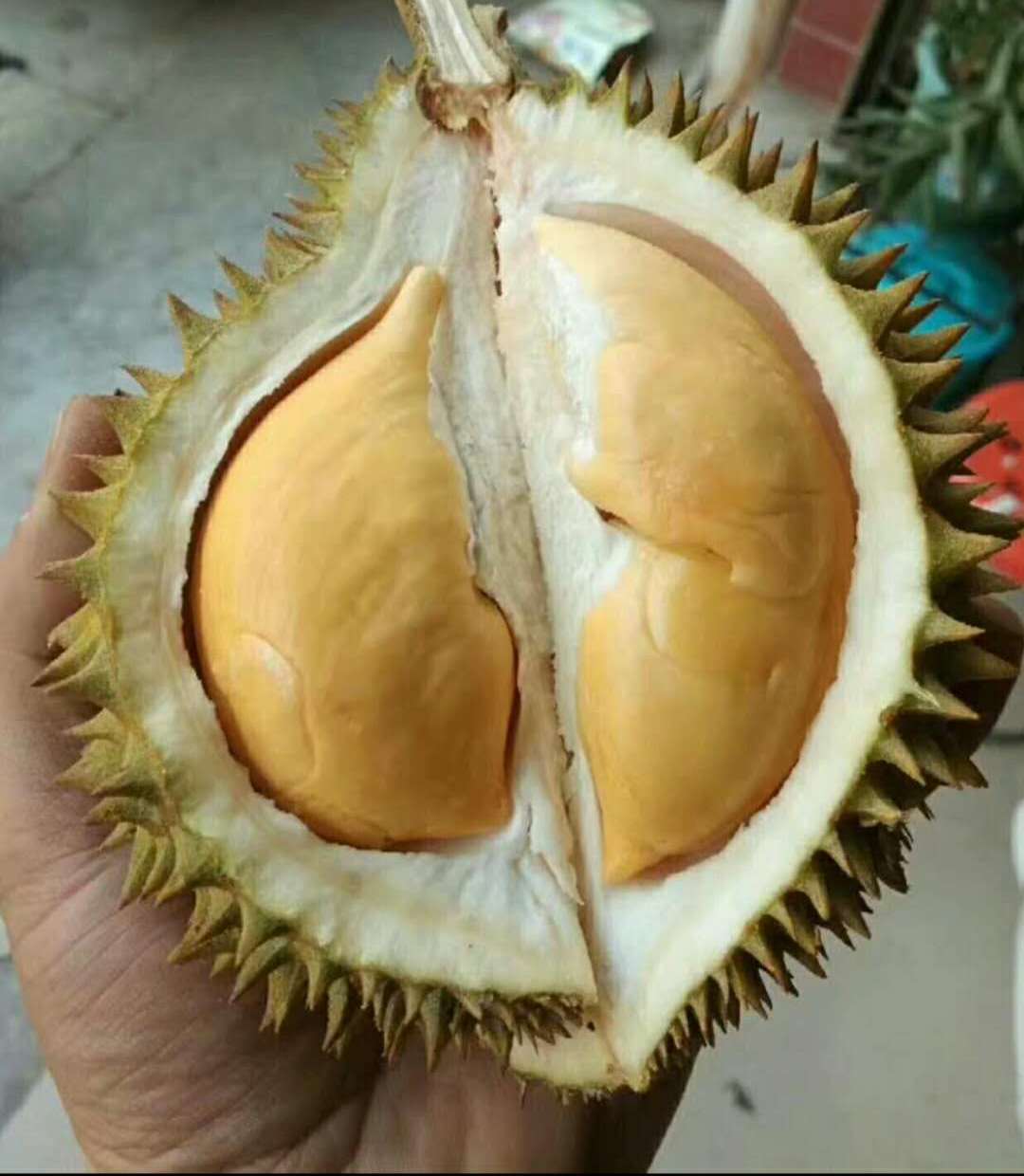 榴莲为什么有特殊的气味和味道,榴莲有酒味微微发苦吃了肚子疼