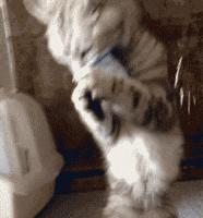 十大垃圾食品竟然是健康食品,垃圾食品对比健康食物